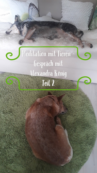 Meditation mit Tieren - Teil 2 mit Alexandra König