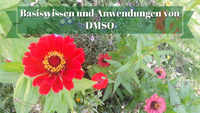 Basiswissen und Anwendungen von DMSO mit Dr. Hartmut Fischer