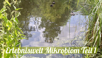 Medizin Reloaded - Erlebniswelt Mikrobiom Teil 1